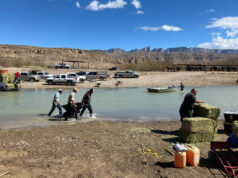 Muro fronteiriço se fecha no maior parque estadual do Texas IMG_6422.jpg