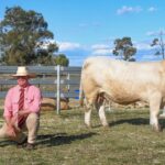 Nollers dá um passo atrás: grandes mudanças de liderança anunciadas para Palgrove Stud