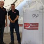 Nova ração peletizada para ovelhas promete aumentar a produtividade e reduzir as emissões