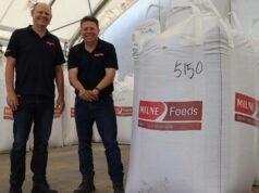 Nova ração peletizada para ovelhas promete aumentar a produtividade e reduzir as emissões Nova ração peletizada para ovelhas promete aumentar a produtividade e reduzir as emissões