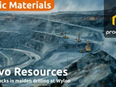 Novo Resources sinaliza vantagens de antimônio, ouro e prata em Wyloo Novo Resources sinaliza vantagens de antimônio, ouro e prata em Wyloo