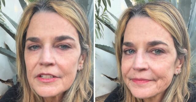 'Nunca é tarde demais: apresentador de TV dos EUA implora Savannah Guthrie