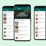 O Ramadã se torna uma fazenda com fins lucrativos, 10 recursos do WhatsApp Business que as PMEs devem usar