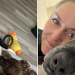 Lindsey vonn legenda de cachorro insta