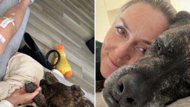 Lindsey vonn legenda de cachorro insta