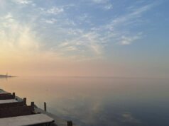 O desaparecimento da vida selvagem no Lago Qarun, no Egito, força os pescadores a abandonar o comércio O desaparecimento da vida selvagem no Lago Qarun, no Egito, força os pescadores a abandonar o comércio