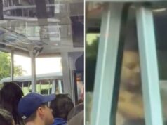 O maluco bêbado desnuda-se na turnê do Universal Studios enquanto as famílias têm uma visão indesejada do set de Hollywood Homem parecendo se despir dentro de um bonde.