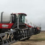 O melão acabou: 'É sempre bom ajudar na colheita da comunidade local'