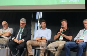 O mercado de leguminosas é altamente volátil, mas pode oferecer ganhos de colheita a longo prazo O mercado de leguminosas é altamente volátil, mas pode oferecer ganhos de colheita a longo prazo