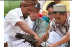 O momento em que Pandji Pragiwaksono pede desculpas diante de 32 representantes tradicionais de Toraja, multou 1 porco e 5 galinhas O momento em que Pandji Pragiwaksono pede desculpas diante de 32 representantes tradicionais de Toraja, multou 1 porco e 5 galinhas