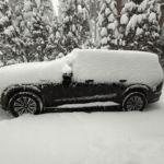 O monstro de 9.000 libras que não quero devolver