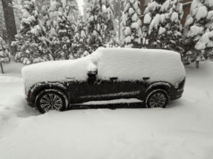 O monstro de 9.000 libras que não quero devolver O monstro de 9.000 libras que não quero devolver