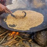 Acima estão os grãos teff sendo torrados na Etiópia. Eles serão transformados em pão injera, um alimento básico na Etiópia que é um pão achatado e de textura leve