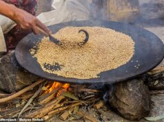 O pouco conhecido ‘superalimento’ aclamado como o grão ‘mais nutritivo’ é um dos carboidratos mais saudáveis que você pode comer Acima estão os grãos teff sendo torrados na Etiópia. Eles serão transformados em pão injera, um alimento básico na Etiópia que é um pão achatado e de textura leve