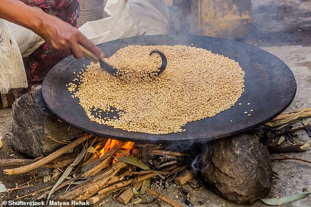O pouco conhecido ‘superalimento’ aclamado como o grão ‘mais nutritivo’ Acima estão os grãos teff sendo torrados na Etiópia. Eles serão transformados em pão injera, um alimento básico na Etiópia que é um pão achatado e de textura leve