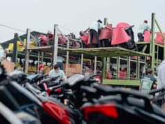 O programa Homecoming with Honda abre novamente, aqui está a rota e a programação O programa Homecoming with Honda abre novamente, aqui está a rota e a programação