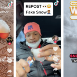 O que as pessoas estão errando esta semana: a neve é ​​falsa?