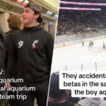 O que é um 'aquário de meninos' e como a 'rivalidade acalorada' o tornou a maior tendência do hóquei?