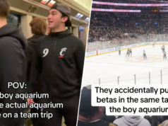 O que é um ‘aquário de meninos’ e como a ‘rivalidade acalorada’ o tornou a maior tendência do hóquei? O que é um 'aquário de meninos' e como a 'rivalidade acalorada' o tornou a maior tendência do hóquei?