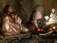O sangue humano dos neandertais veio principalmente das mães, sugere estudo Ícone de conversão de texto em fala