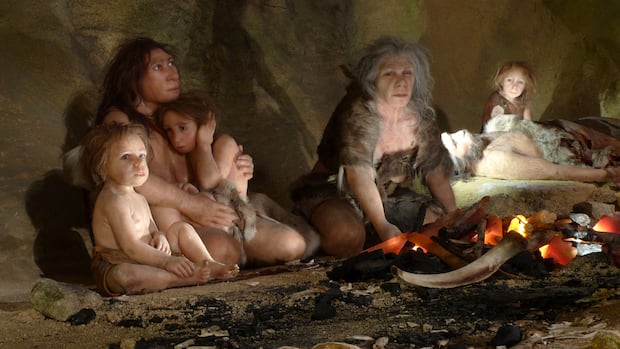 O sangue humano dos neandertais veio principalmente das mães, sugere Ícone de conversão de texto em fala