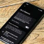 Widget Resumo do Pixel 9 Pro.