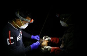 OMS diz que caso fatal do vírus Nipah foi confirmado em Bangladesh OMS diz que caso fatal do vírus Nipah foi confirmado em Bangladesh