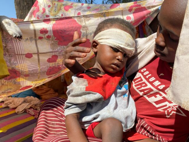 ONU acusa paramilitares RSF de cometer crimes de guerra em el-Fasher, no Sudão
