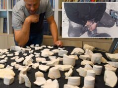 Oficina de 2.000 anos perto do caminho de peregrinação de Jerusalém encontrada após a prisão de saqueadores Oficina de 2.000 anos perto do caminho de peregrinação de Jerusalém encontrada após a prisão de saqueadores