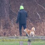 Andrew Mountbatten-Windsor parece ainda estar cuidando dos corgis da falecida Rainha Elizabeth, apesar de seu despejo do Royal Lodge em Windsor