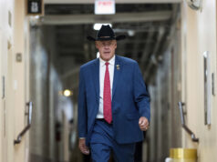 Os democratas têm 44 cadeiras ocupadas pelo Partido Republicano em seu bloco de meio de mandato Uma pessoa é detida por agentes federais na terça-feira, 3 de fevereiro de 2026, em Minneapolis. (Foto AP/Ryan Murphy)