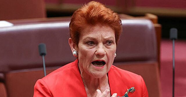 Os eleitores migram para One Nation enquanto abandonam liberais e Pauline Hanson no Senado Australiano (Alex Ellinghausen/Nine)
