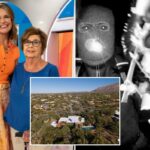 Os investigadores de Nancy Guthrie implantam um detector avançado de sinal Bluetooth em um esforço para encontrar um marca-passo