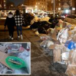 Os moradores de Nova York criticam o acúmulo de lixo enquanto a 'coleta limitada' continua 7 dias após a tempestade de inverno: 'É nojento'