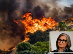 Os vereadores esquerdistas de Los Angeles se opõem à limpeza dos campos de desabrigados nas encostas das colinas Os vereadores esquerdistas de Los Angeles se opõem à limpeza dos campos de desabrigados nas encostas das colinas