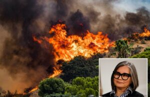 Os vereadores esquerdistas de Los Angeles se opõem à limpeza dos campos de desabrigados nas encostas das colinas Os vereadores esquerdistas de Los Angeles se opõem à limpeza dos campos de desabrigados nas encostas das colinas