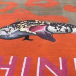 Pare, olhe, ouça, pense: a mensagem por trás de um mural comunitário