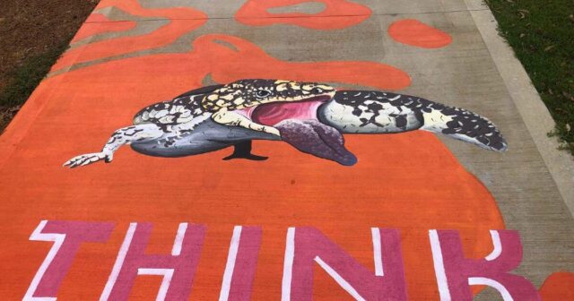 Pare, olhe, ouça, pense: a mensagem por trás de um mural comunitário
