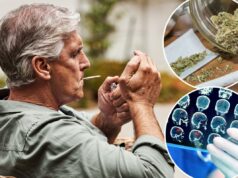 Pesquisadores ‘surpresos’ com os benefícios cerebrais do uso de cannabis em adultos com mais de 40 anos Pesquisadores ‘surpresos’ com os benefícios cerebrais do uso de cannabis em adultos com mais de 40 anos