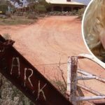 Desaparecido Gus, de quatro anos