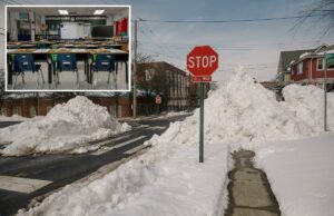 ‘Pior decisão desde a nova Coca-Cola’: 70% dos alunos de Staten Island faltaram à escola depois que Mamdani rejeitou o ensino remoto 'Pior decisão desde a nova Coca-Cola': 70% dos alunos de Staten Island faltaram à escola depois que Mamdani rejeitou o ensino remoto