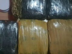 Polda Metro Jaya prende três homens que querem distribuir 15,5 kg de maconha Polda Metro Jaya prende três homens que querem distribuir 15,5 kg de maconha