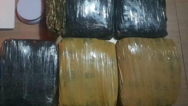 Polda Metro Jaya prende três homens que querem distribuir 15,5 Polda Metro Jaya prende três homens que querem distribuir 15,5 kg de maconha