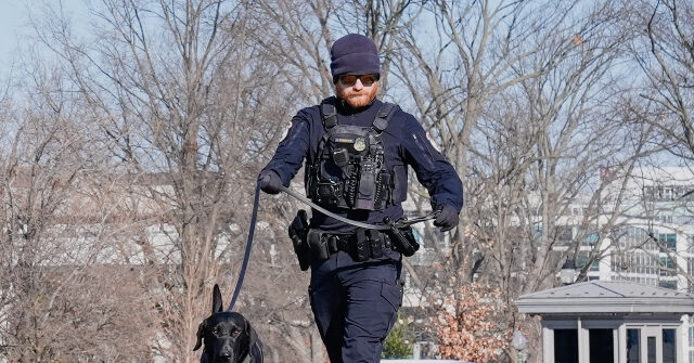 Polícia de DC: Homem com espingarda corre em direção ao Polícia de DC: Homem com espingarda corre em direção ao Capitólio e é preso