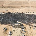 Por que Saif al-Islam Gaddafi teve que morrer?