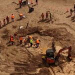 Fóssil de baleia Ocean Grove com 20 milhões de anos, 26 de fevereiro de 2026