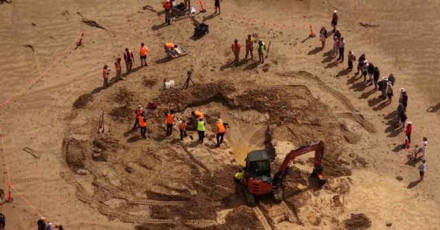 Praia australiana desenterrada após incrível descoberta da família Fóssil de baleia Ocean Grove com 20 milhões de anos, 26 de fevereiro de 2026