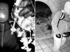 Principais brindes no caso Nancy Guthrie que mostram que o suposto sequestrador não é ‘um assassino treinado’: ex-agente especial do FBI Principais brindes no caso Nancy Guthrie que mostram que o suposto sequestrador não é 'um assassino treinado': ex-agente especial do FBI