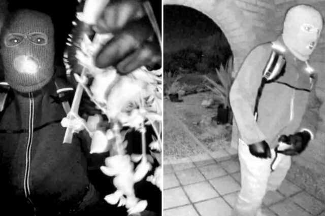 Principais brindes no caso Nancy Guthrie que mostram que o suposto sequestrador não é 'um assassino treinado': ex-agente especial do FBI
