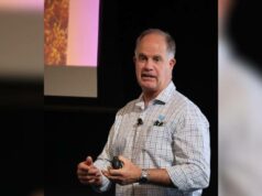 Produtos químicos e concorrência: dicas rápidas para o manejo de ervas daninhas na aveia Produtos químicos e concorrência: dicas rápidas para o manejo de ervas daninhas na aveia